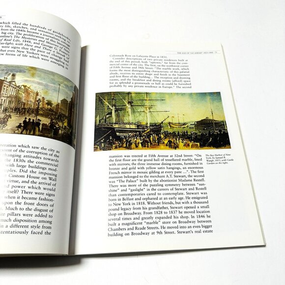The Historical Atlas of New York City A Visual Celebration Eric Homberger 2005 - Picture 7 of 16